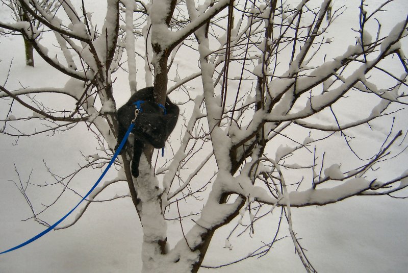 MiniMum unterwegs im Schnee, Winter 2005